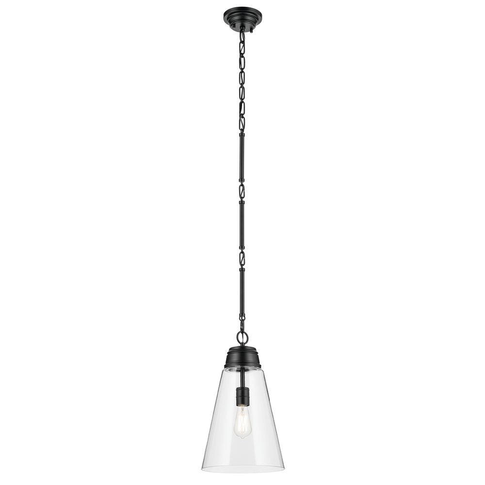 Marsailli 19" 1-Light Medium Pendant with Clear Glass in Black