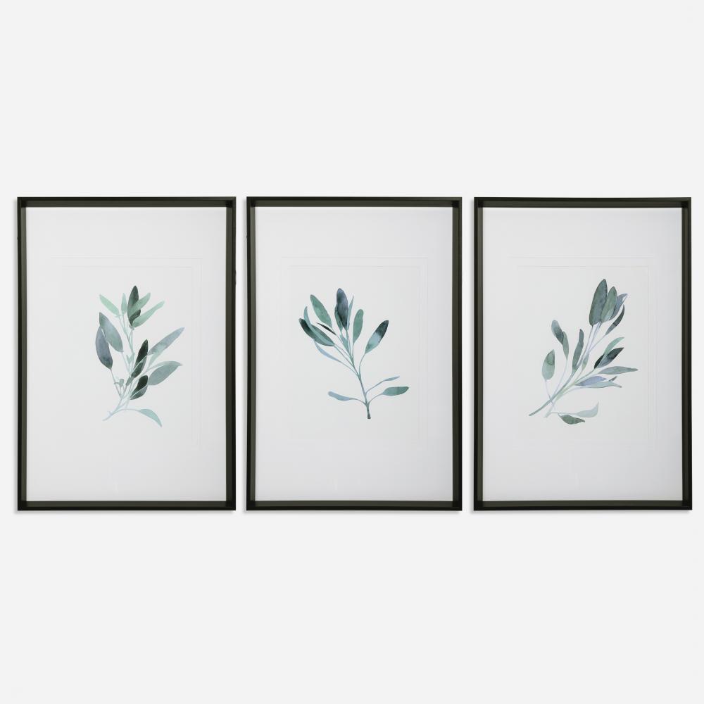 Uttermost Simple Sage Framed Prints, S/3