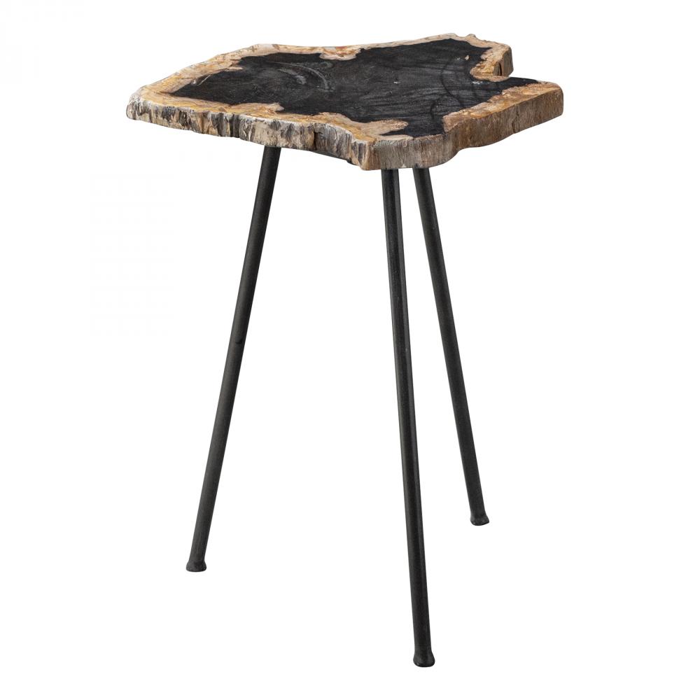 Mircea Petrified Wood Accent Table