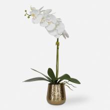 Uttermost 60189 - Uttermost Cami Orchid, Brass