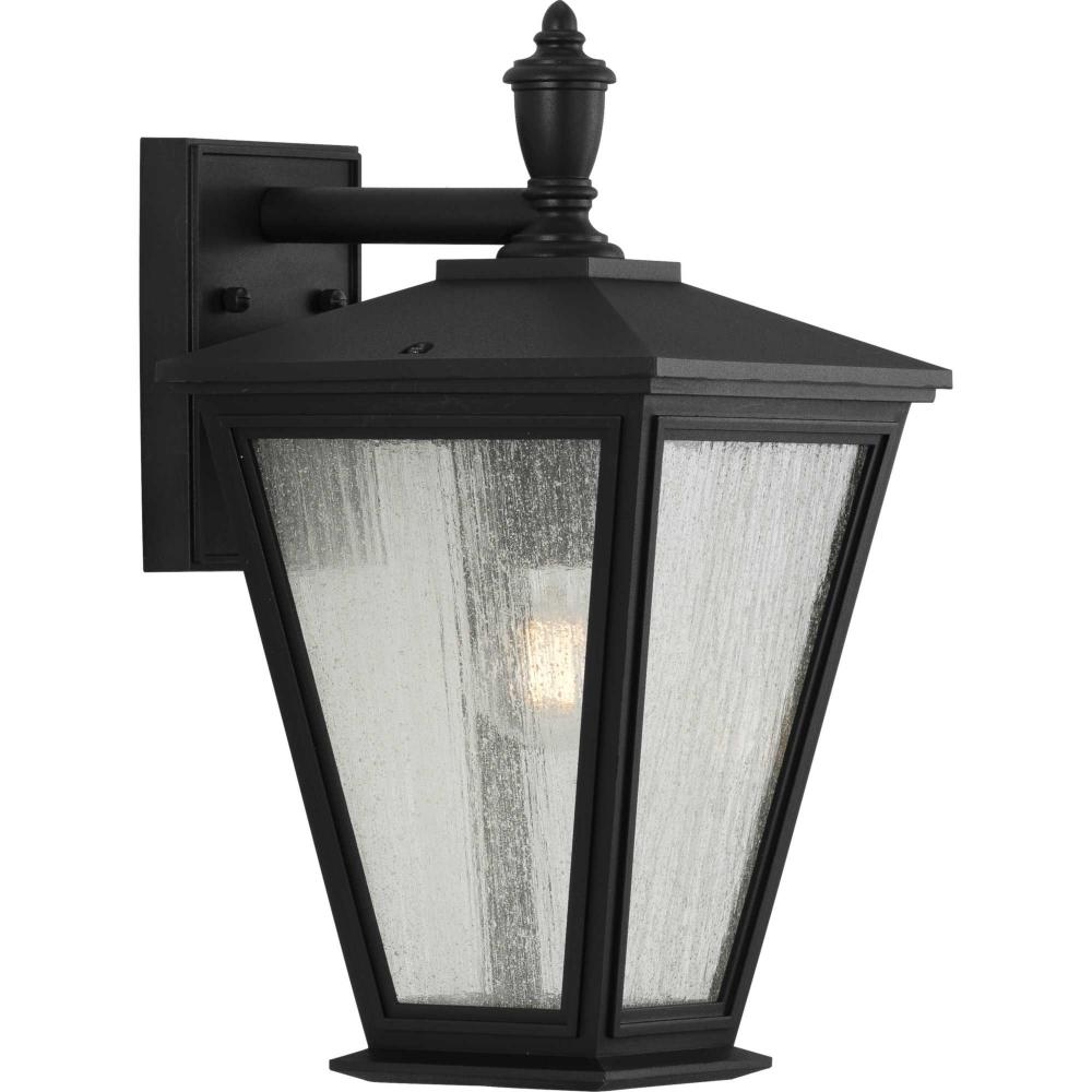 Cardiff Collection One-Light Medium Wall Lantern with DURASHIELD