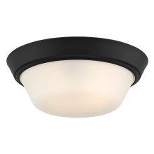 Progress P350303-031 - P350303-031 2-L 13IN FLUSHMOUNT