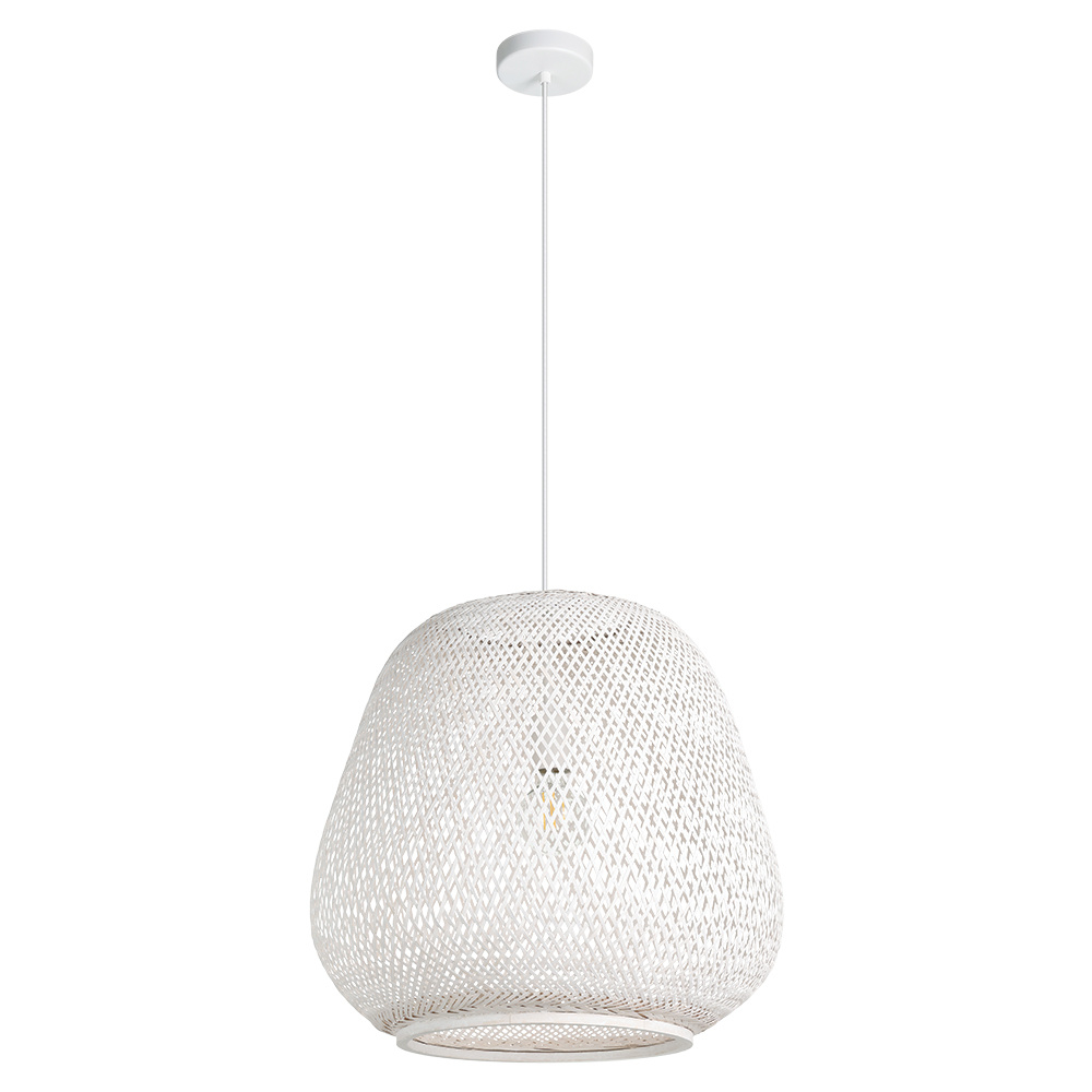 1L Pendant Light