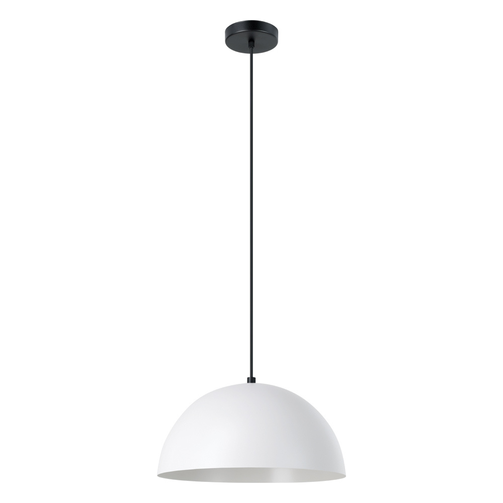 1L Pendant Light