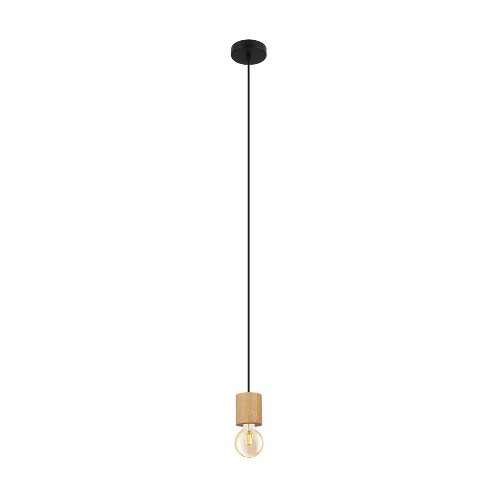 1L Pendant Light