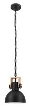 Eglo 204201A - 1L Pendant Light