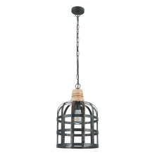 Eglo 49785A - 1L Pendant Light