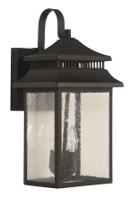 Craftmade ZA3124-DBG - Large Wall Mount