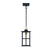 Eurofase 47388-017 - GREYSON-OD-16IN-BRBM-CL