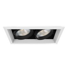 Eurofase TE132LED-30-2-02 - MuLT, 26w, Trm, 2LT , 30k, Wht/blk