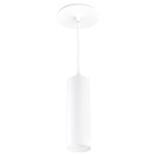 Elco Lighting E25PS-10CT5 - 2" PNDNT 38° 1000LM 5CCT SLVR