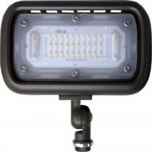 Elco Lighting EFL30S50WFT - Mini LED Floodlight