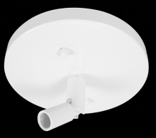 Elco Lighting EP905B - SLOPE CEILING PENDENT