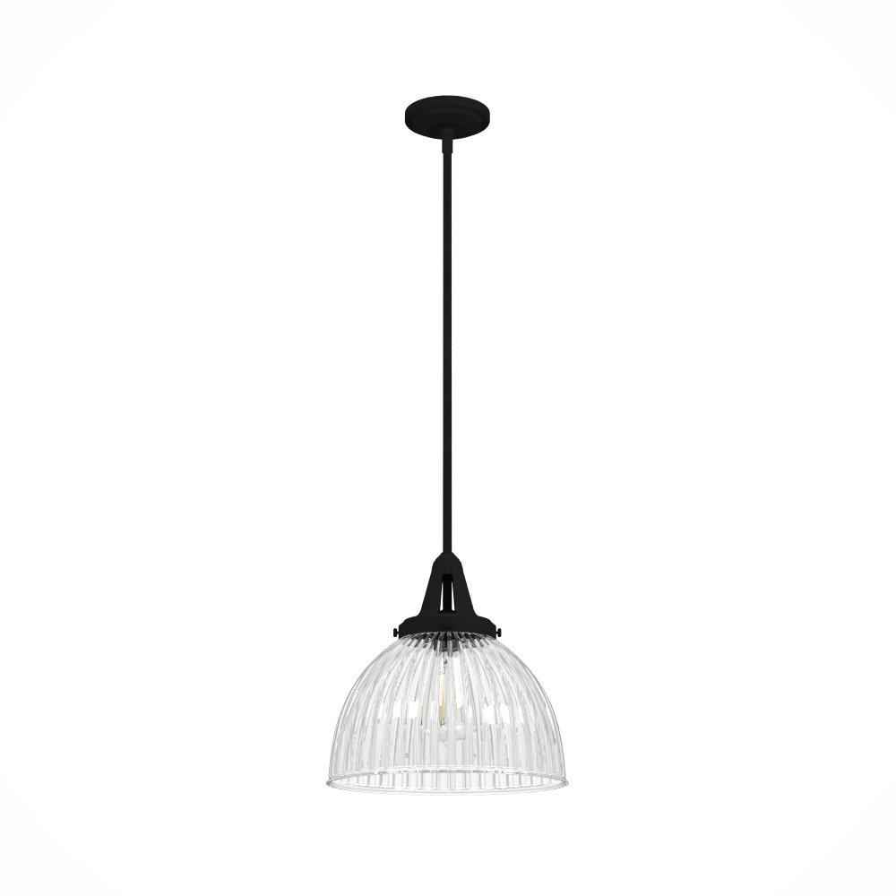 Hunter Cypress Grove Natural Black Iron with Clear Holophane Glass 1 Light Pendant Ceiling Light