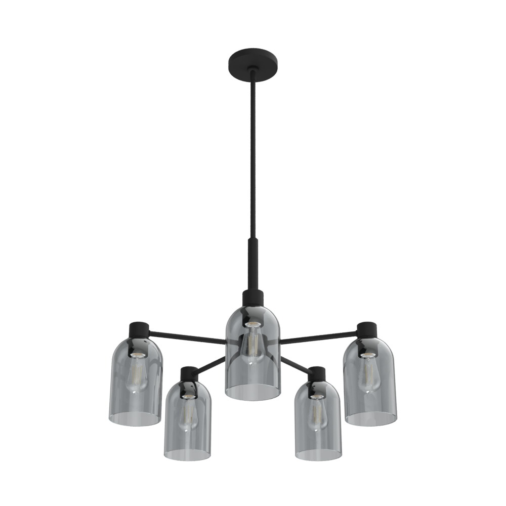 Hunter Lochemeade Natural Black Iron with Smoked Glass 5 Light Chandelier Ceiling Light Fixture