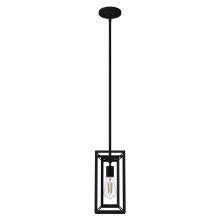 Hunter 19755 - Hunter Doherty Natural Black Iron 1 Light Pendant Ceiling Light Fixture