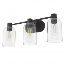 Hunter 19712 - Hunter Lochemeade Noble Bronze with Clear Seeded Glass 3 Light Bathroom Vanity Wall Light Fixture