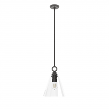 Hunter 19439 - Hunter Klein Noble Bronze with Clear Glass 1 Light Pendant Ceiling Light Fixture