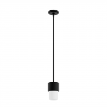 Hunter 19277 - Hunter Station Natural Black Iron with Frosted Cased White Glass 1 Lt Pendant Ceiling Lt Fixture