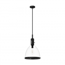 Hunter 48042 - Hunter Van Nuys Matte Black with Clear Glass 1 Light Pendant Ceiling Light Fixture