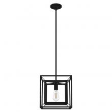 Hunter 19406 - Hunter Doherty Natural Black Iron 1 Light Pendant Ceiling Light Fixture