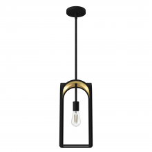 Hunter 19737 - Hunter Dukestown Natural Black Iron and Gold Leaf 1 Light Mini Pendant Ceiling Light Fixture