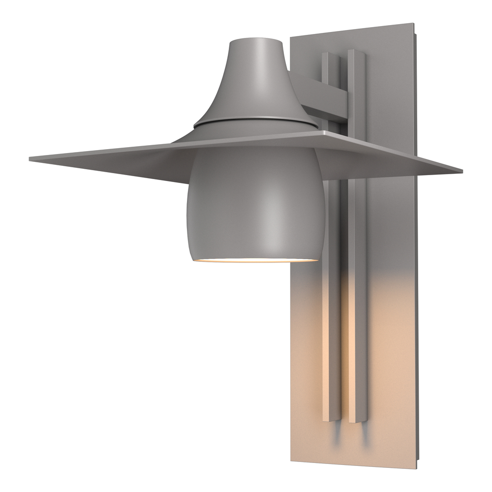 Hood Large Dark Sky Outdoor Sconce