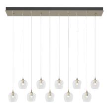 Hubbardton Forge 131203-SKT-STND-84-ZM0709 - Ume 10-Light Pendant