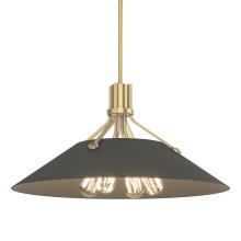 Hubbardton Forge 136340-SKT-MULT-86-20 - Henry Pendant