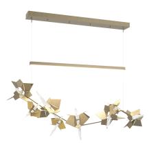 Hubbardton Forge 139813-LED-STND-84-86-CR - Belladonna LED Pendant