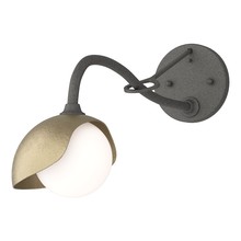 Hubbardton Forge 201376-SKT-20-84-GG0711 - Brooklyn 1-Light Single Shade Long-Arm Sconce