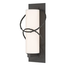 Hubbardton Forge 302403-SKT-20-GG0037 - Olympus Large Outdoor Sconce