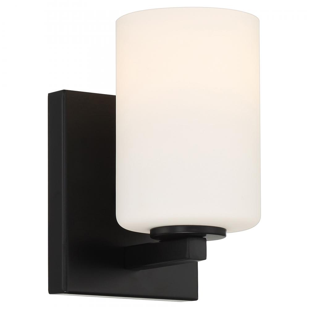 1 Light LED Wall Sconce & Vanity