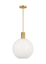 Visual Comfort & Co. Studio Collection DJP1181SB - Colewood