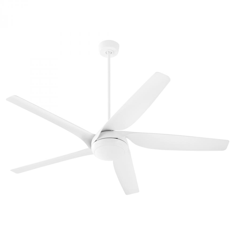 Fury 65" 5BL Fan - SW