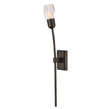 Fredrick Ramond FR33320BX - Large Single Light Sconce